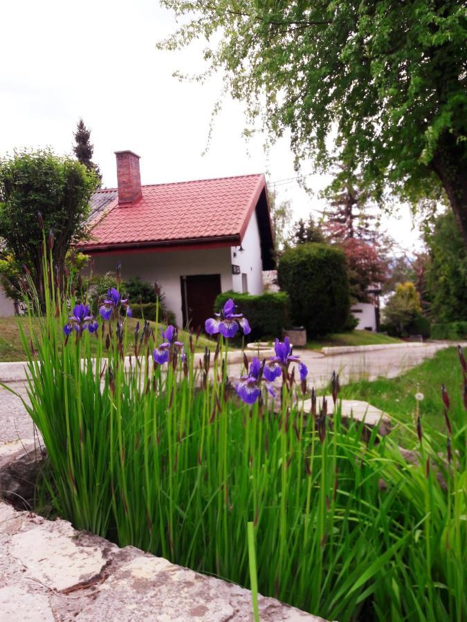 Centrum Wypoczynku Odys Tresna Dış mekan fotoğraf